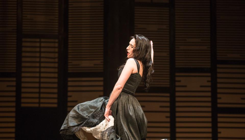 Carmen de Bizet